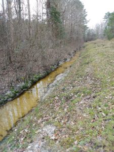 a ditch line is a great place to scout for deer