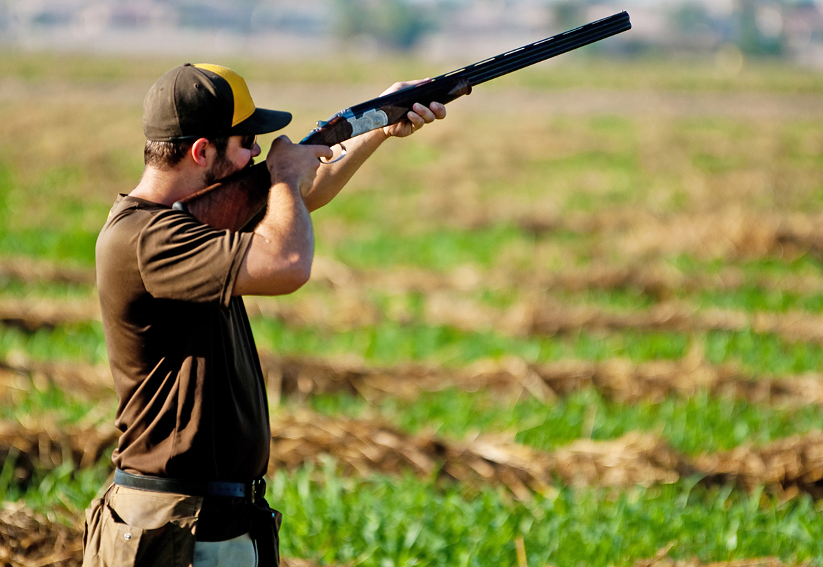 dove hunter in a field