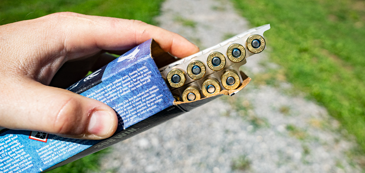 Federal .308 ammo