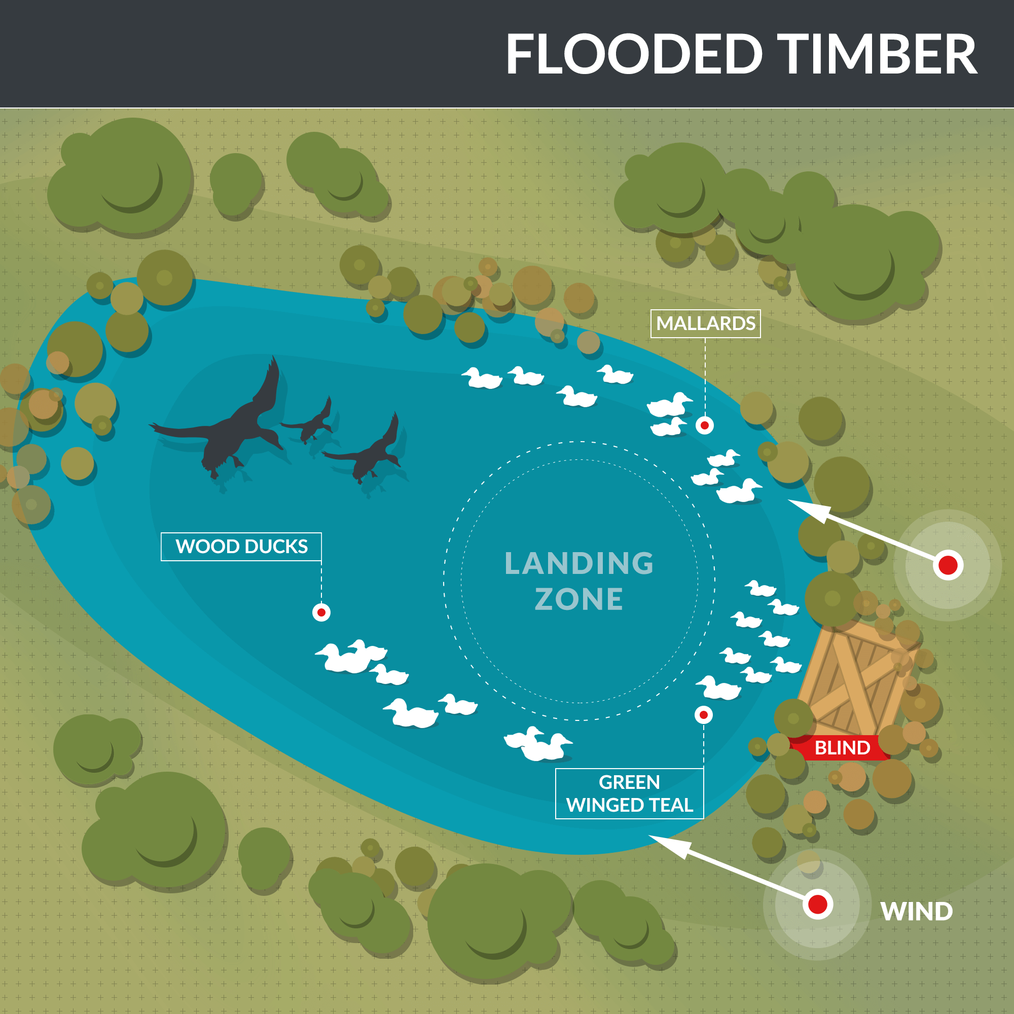 Where to Place Your Duck Decoys Hunting Tips and Tactics