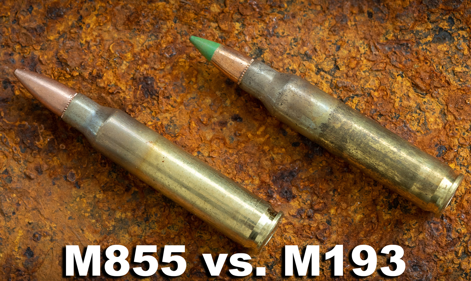 M855 vs M193 ammo