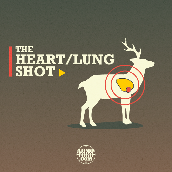 heart lung shot for deer hunting