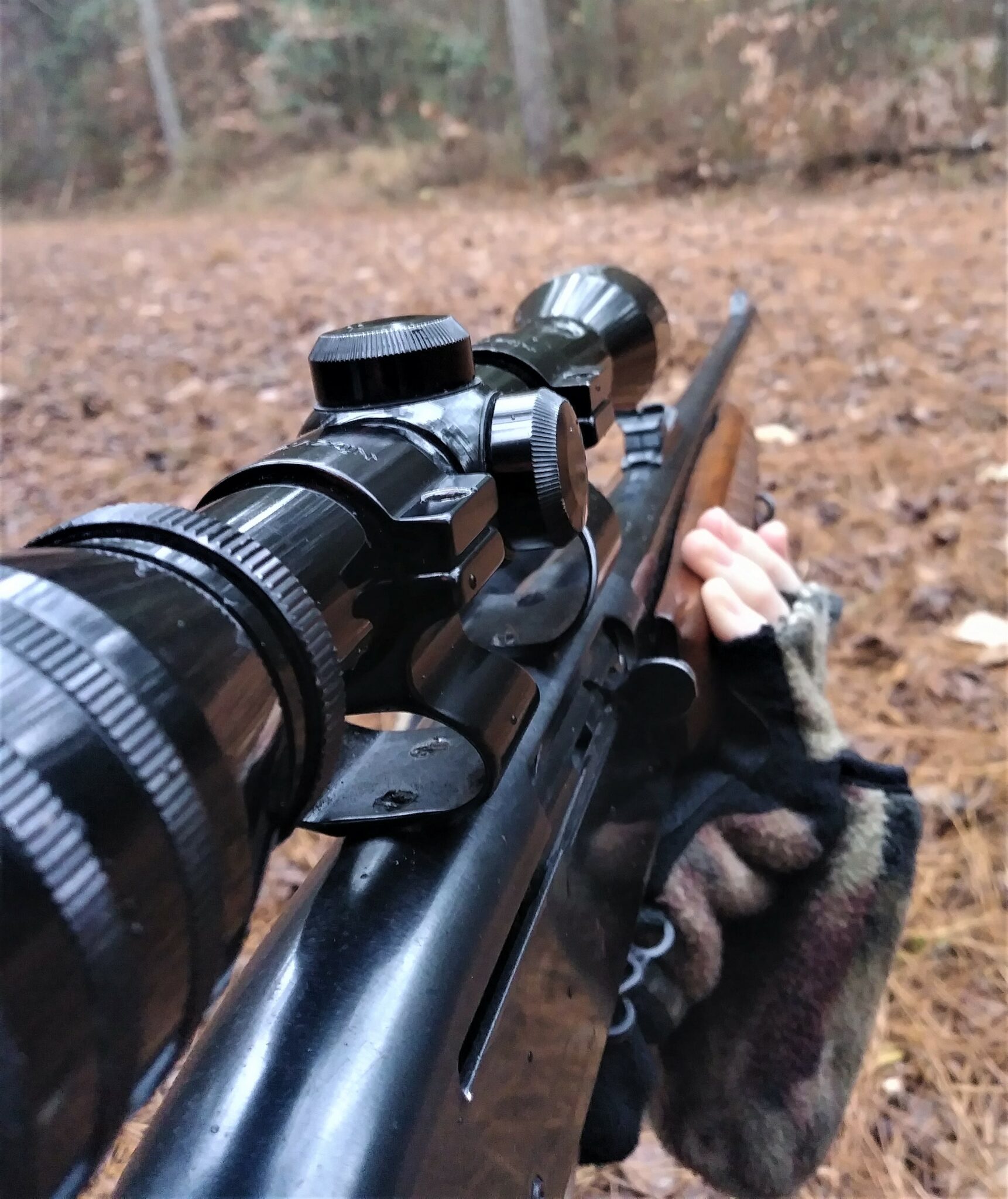 Scope Magnification What the Numbers Mean and How to Use Them