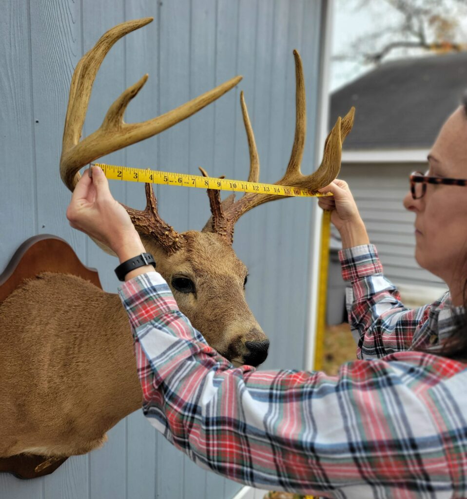 Scoring Your Trophy: typical whitetail deer