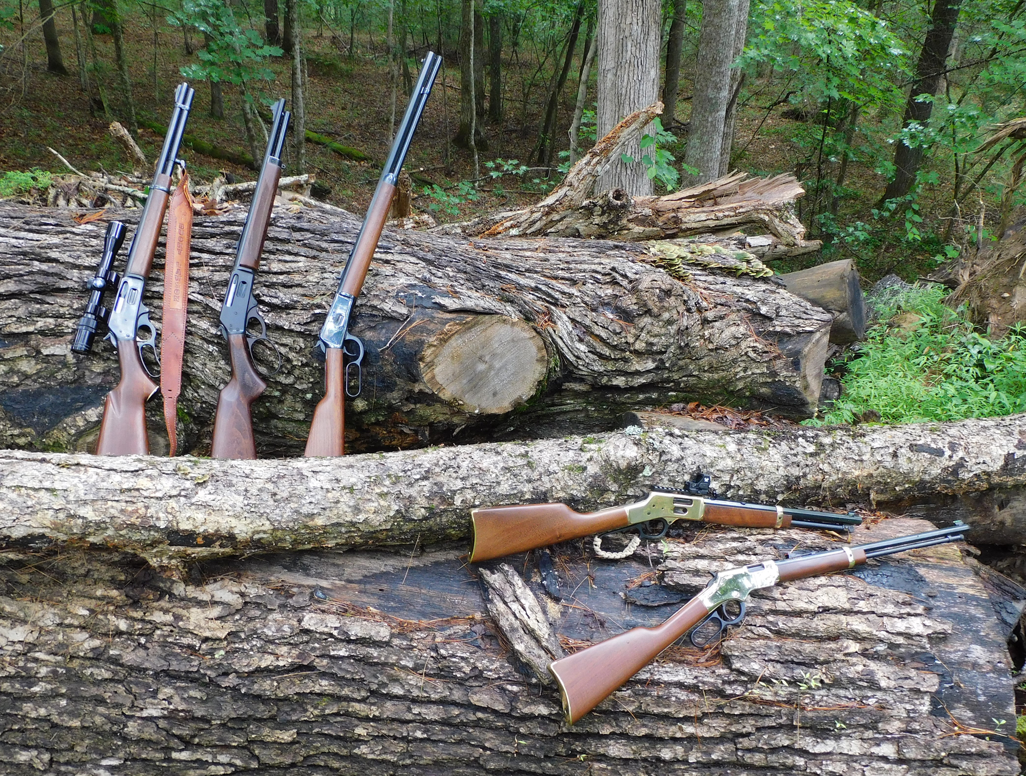 Lever action rifles on display