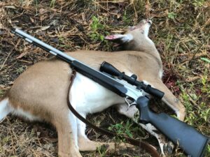 A deer taken with a muzzleloader