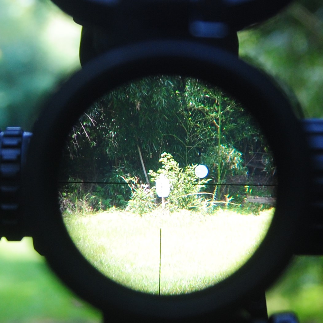Scope Magnification What the Numbers Mean and How to Use Them