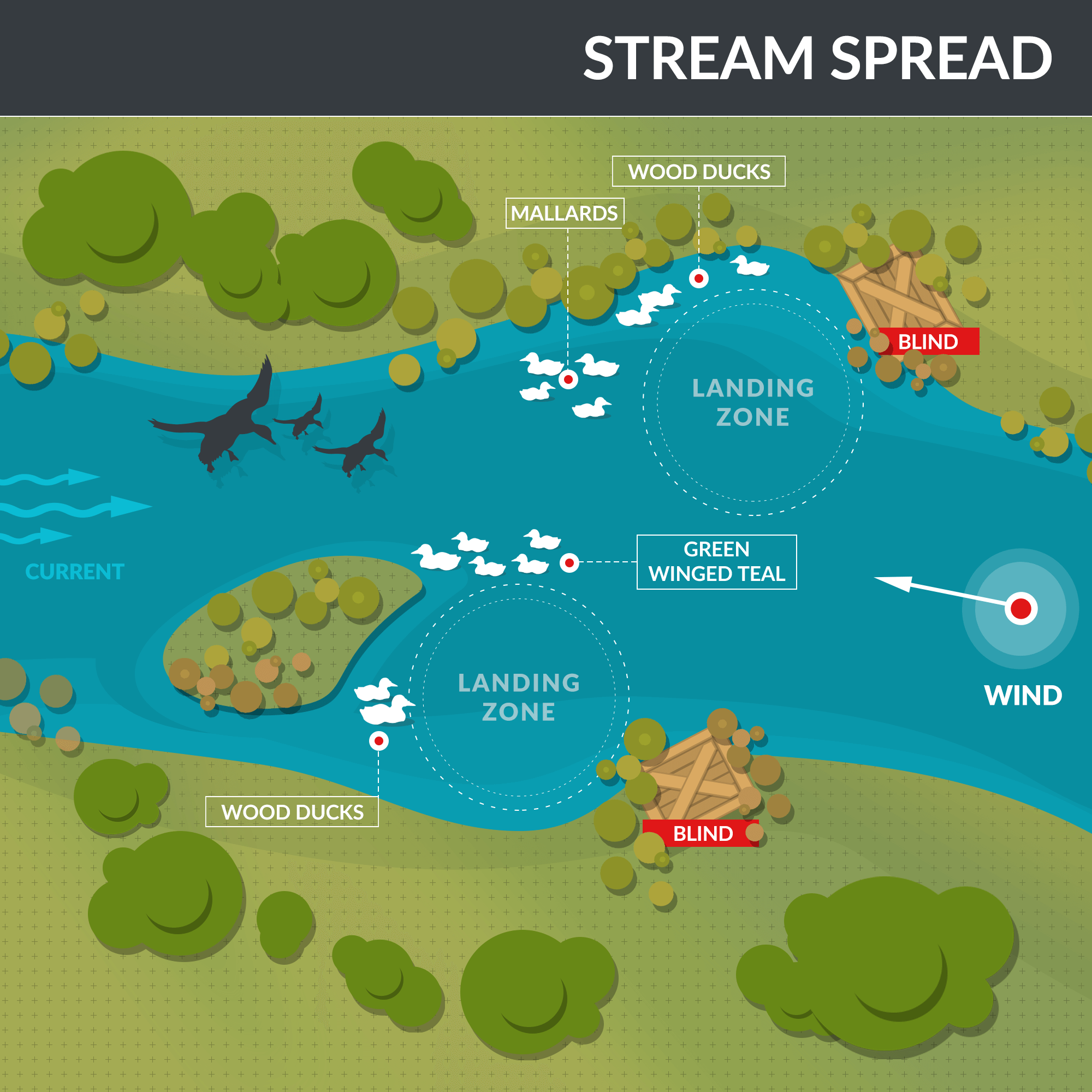 Duck Decoy Placement Diagrams