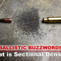 Bullet, powder and casing demonstrating the parts of sectional density