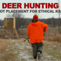 where to shoot a deer while hunting