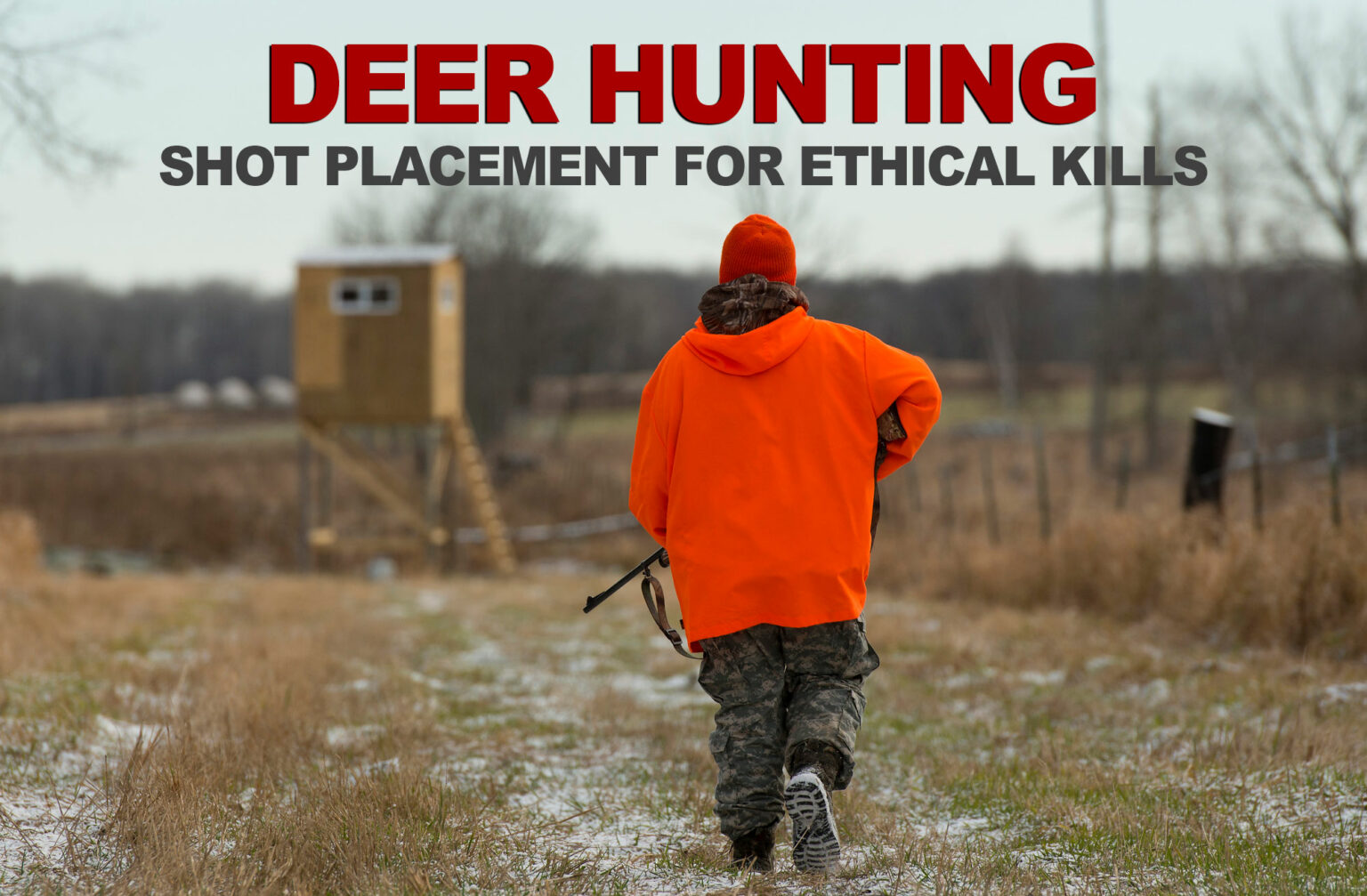 Where To Shoot A Deer Shot Placement For Ethical Kills 8510