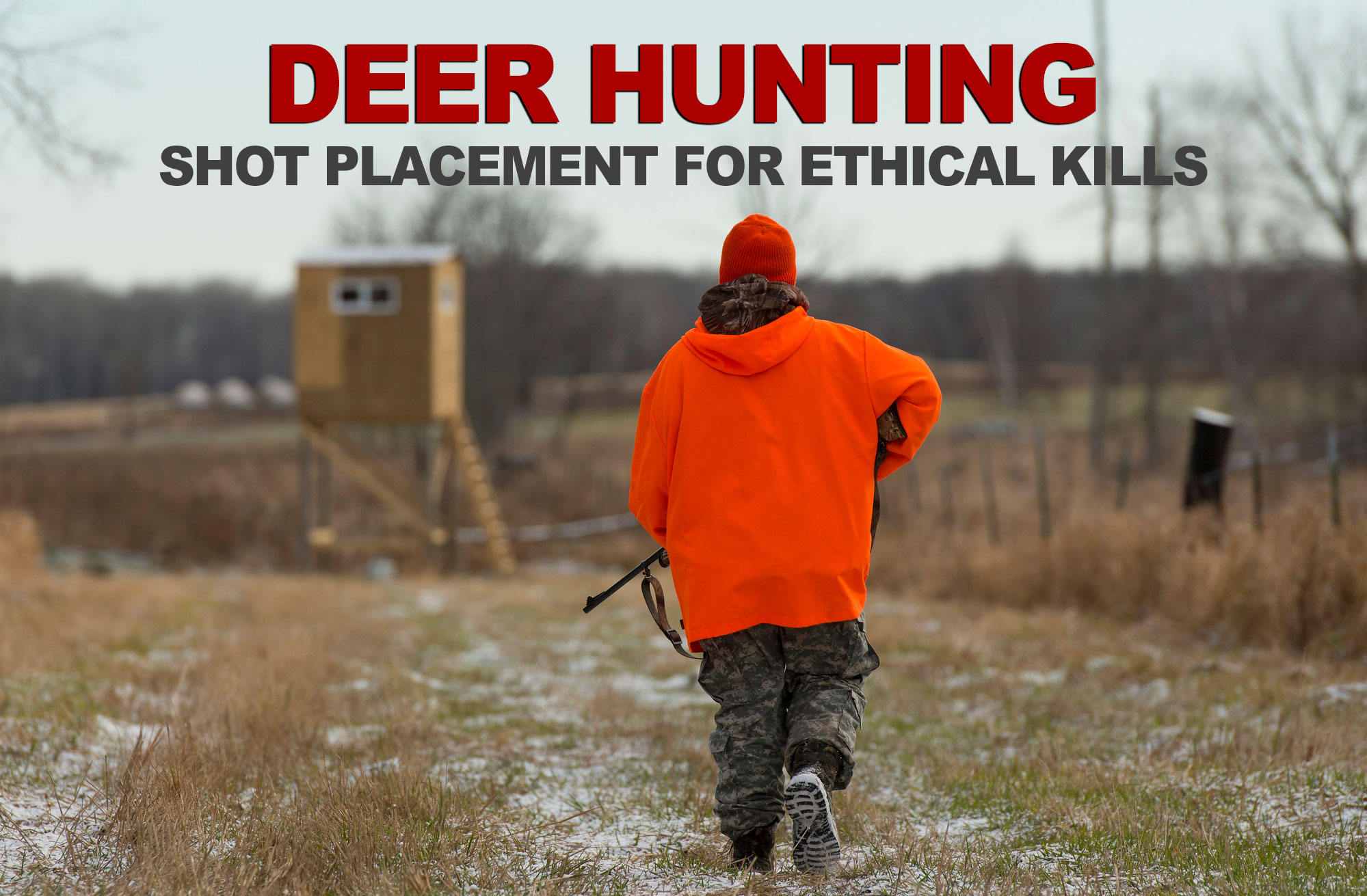 where to shoot a deer while hunting
