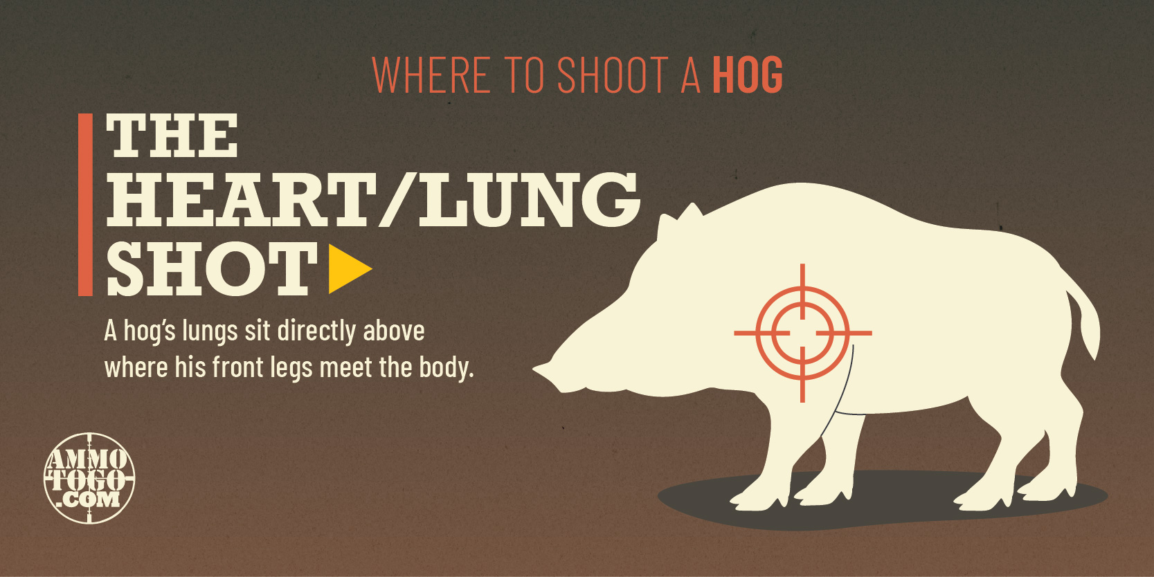 where to shoot a hog in the heart or lungs
