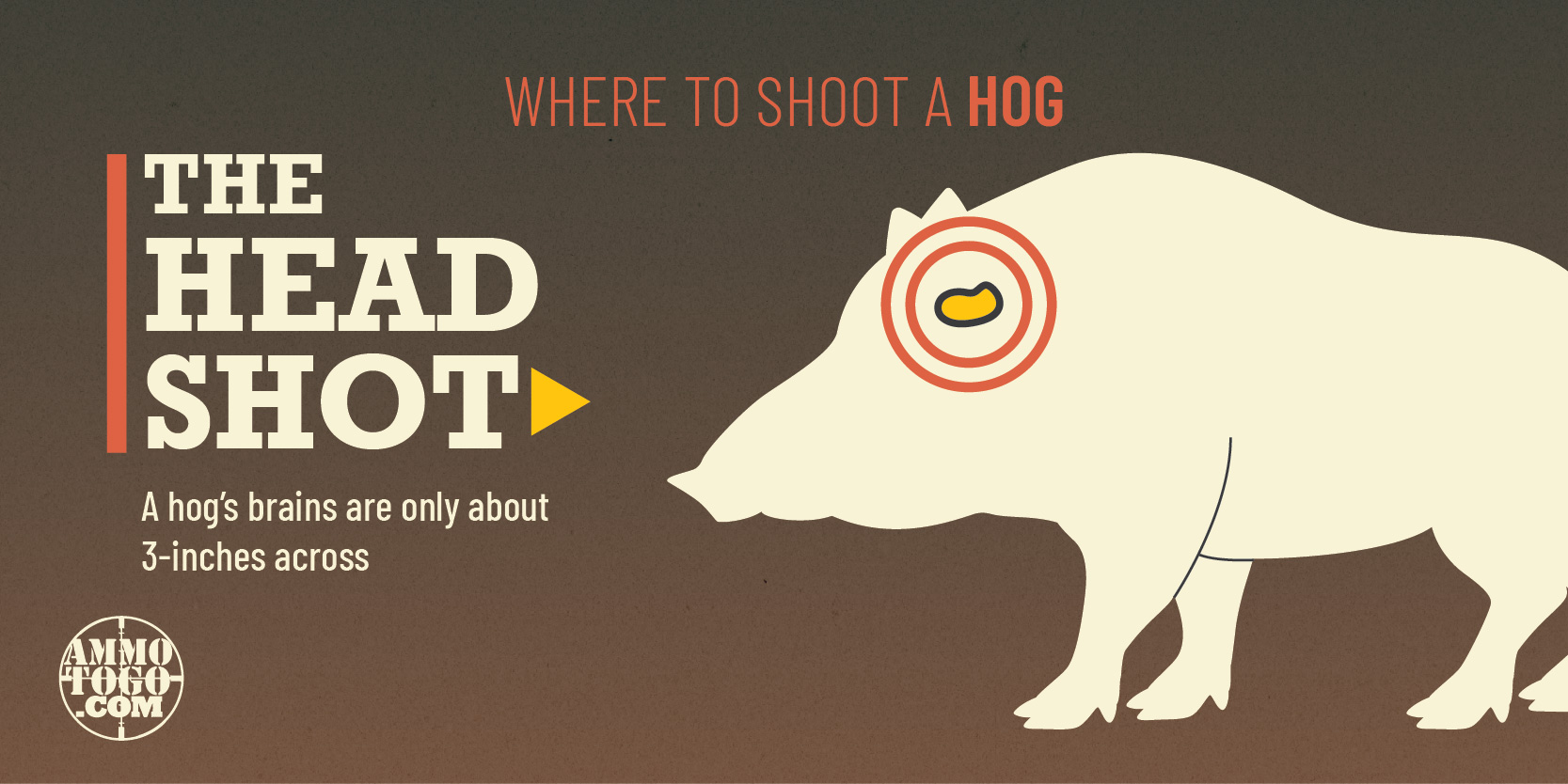 Where to shoot a hog with a head shot
