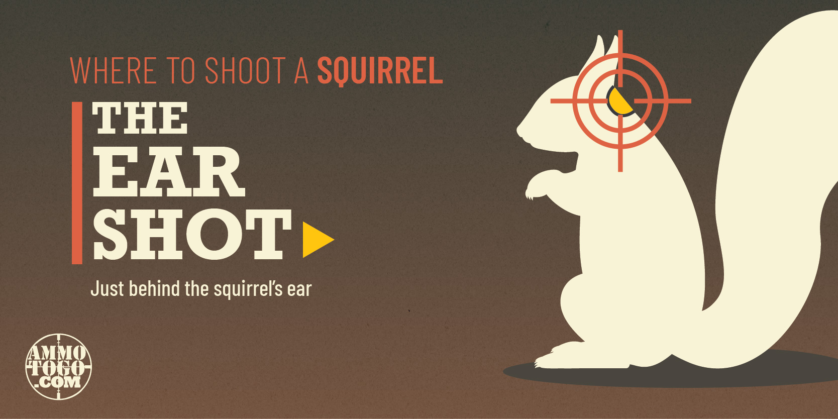 Where to shoot a squirrel with a rifle