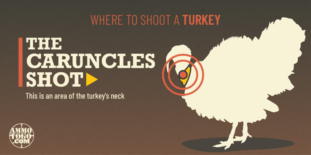 Where To Shoot A Turkey A Guide for Hunters