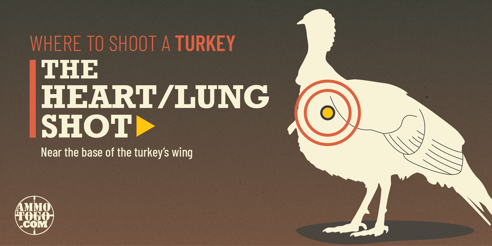 A diagram showing where to shoot a turkey with a bow and arrow